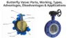 Butterfly Valve: Parts, Working, Types, Advantages, Disadvantages & Applications - Post Thumbnail
